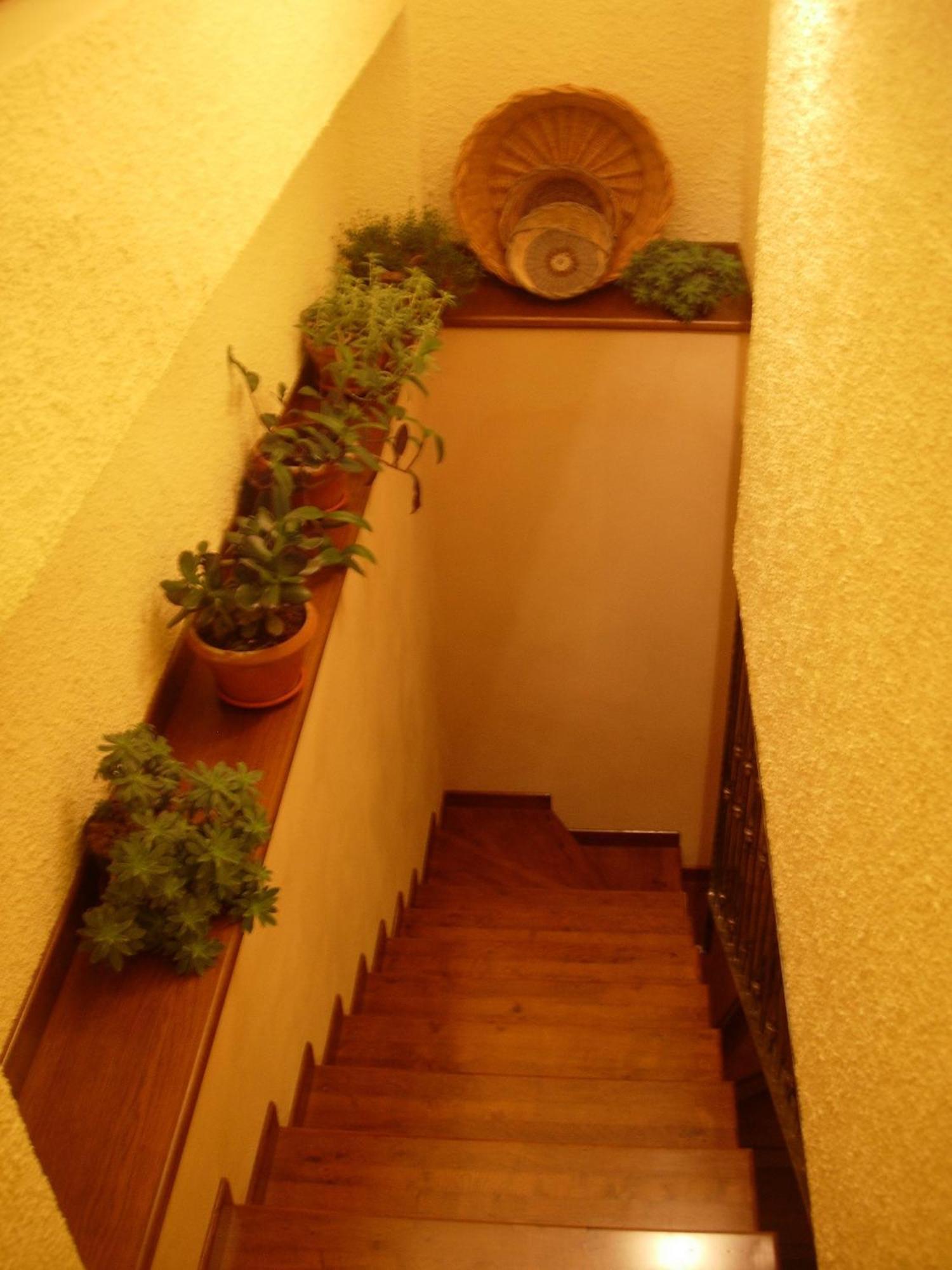Angelucci Agriturismo Con Camere E Agri Camping Lanciano Exterior photo